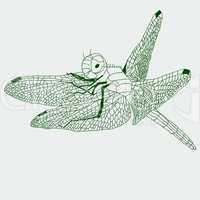 dragonfly  drawing , vector.