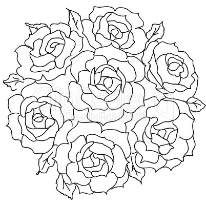 Large bouquet of roses. vector