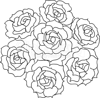 Large bouquet of roses. vector