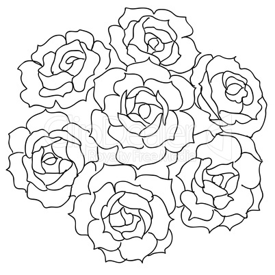 Large bouquet of roses. vector