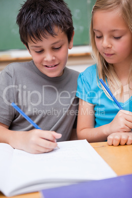 Portrait of smiling pupils working together