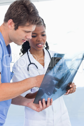 Portrait of serious doctors looking at a of X-ray