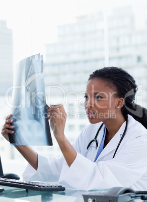 Portrait of a focused female doctor looking at a set of X-rays