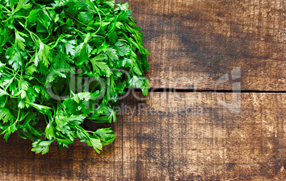 Fresh curly leaf parsley on rustin wooden background