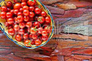 Basket of ripe cherry tomatoes on rustic stripped bark