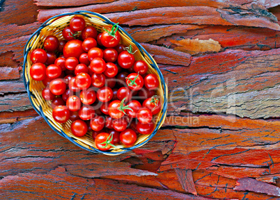 Basket of ripe cherry tomatoes on rustic stripped bark