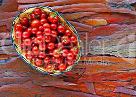 Basket of ripe cherry tomatoes on rustic stripped bark