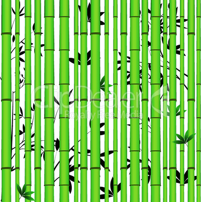 Bamboo seamless asian vector background.