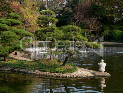 japanese pond