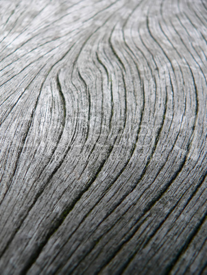 wooden surface macro