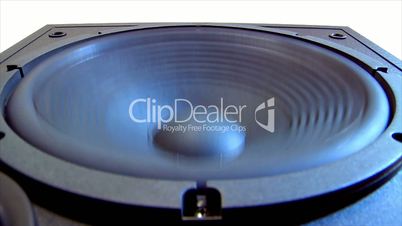 speaker subwoofer loop 10617