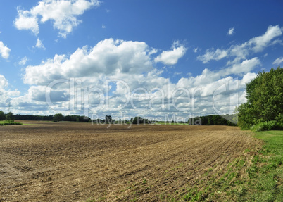 country summer landscape