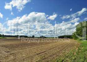 country summer landscape