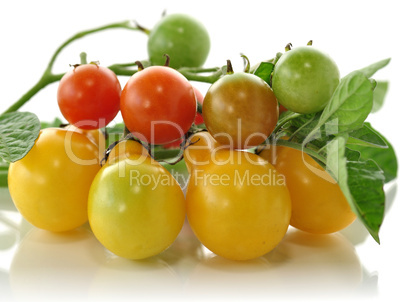 yellow and red small tomatoes