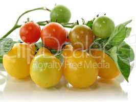 yellow and red small tomatoes
