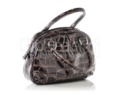 Woman's Leather Handbag