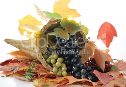 fall composition