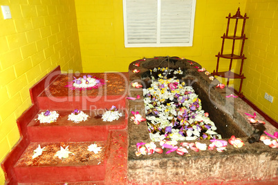 The bath for Ayurveda procedures in SPA at  popular hotel, Bento