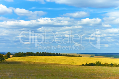 Rural landscape