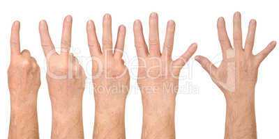 Male hands counting