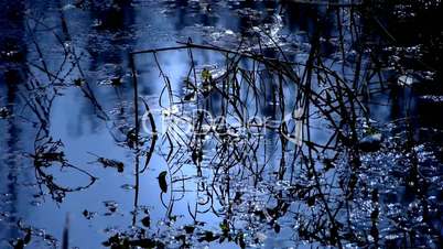 Forest and branches reflection in swamps wetlands water,Sparkling ripple,snow.
