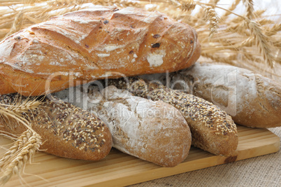 diverse bread