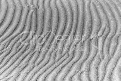 black and white sand dunes