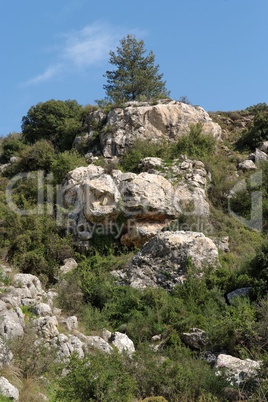 Lonely tree on top of weathered cliff in bright spring day