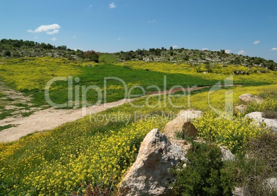 Mediterranean hills landscape in spring