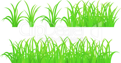 set of green grass element