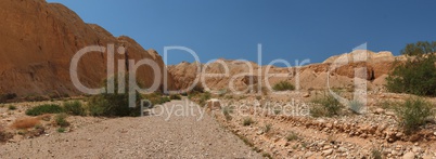 Desert valley in the evening