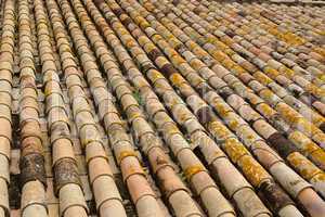 Texture of old roof tiled with cylindrical tiles