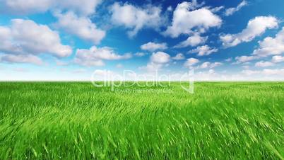 green field and cloudy sky