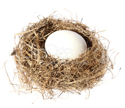 Birds nest with eggs on the white background. (isolated)