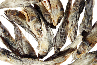 Dry salt fish on the white background. (Gobiidae), (isolated)