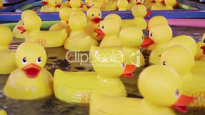 Yellow rubber ducks floating