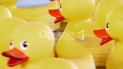 Yellow rubber ducks floating