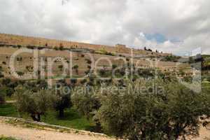 View of the Kidron Valley and the Temple Mount in Jerusalem