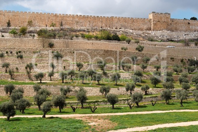 Terraces of the Kidron Valley and the the wall of the Old City in Jerusalem