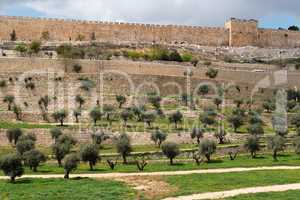 Terraces of the Kidron Valley and the the wall of the Old City in Jerusalem