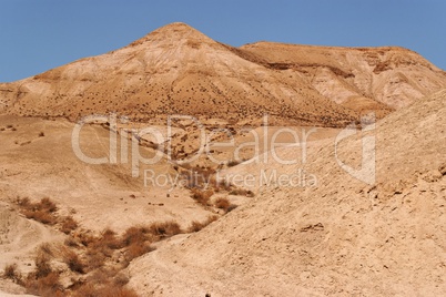 Dry creek in the stone desert