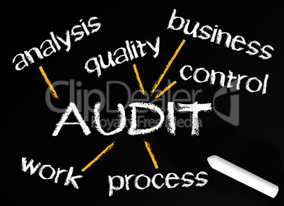 AUDIT - Business Concept