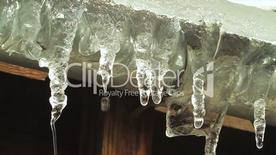 Drops falling from the icicles. HD