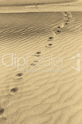 black and white marks on the sand