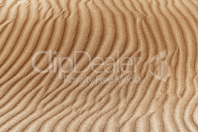image of sand dunes