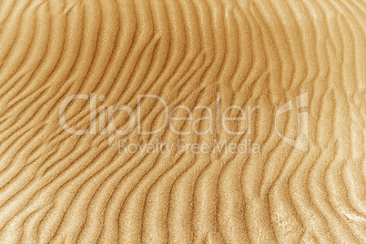 image of sand dunes