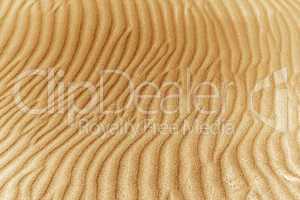image of sand dunes