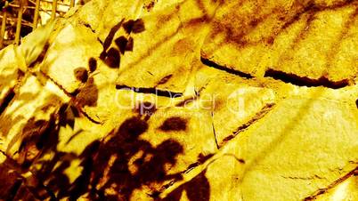 swing leaves silhouette shadow and golden sunlight on stone wall.