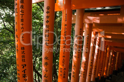 Torii gates at Inari shrine in Kyoto