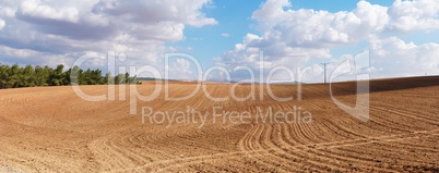 Panorama of yellow plowed field on cloudy day